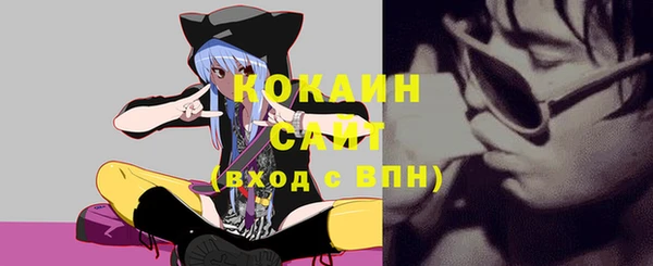 твердый Алексин