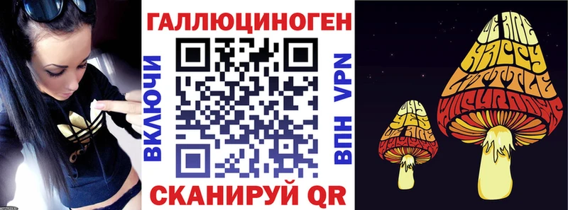 купить наркотик  Луза  Псилоцибиновые грибы Cubensis 